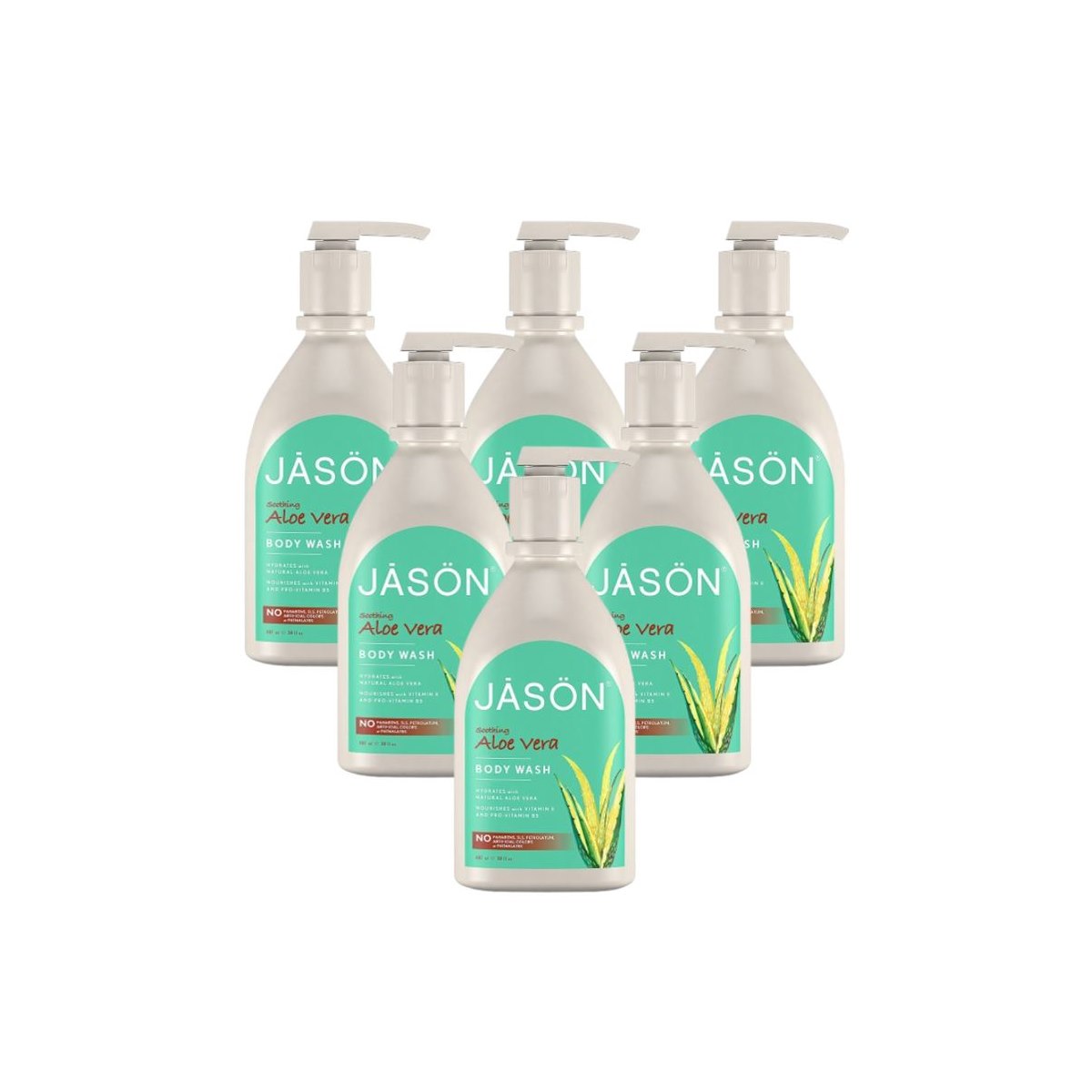 Case of 6 x Jason Aloe Vera Satin Body Wash