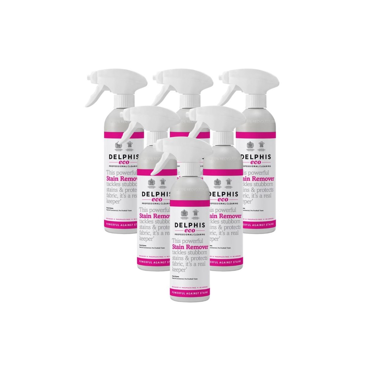 Case of 6 x Delphis Eco Stain Remover 330ml