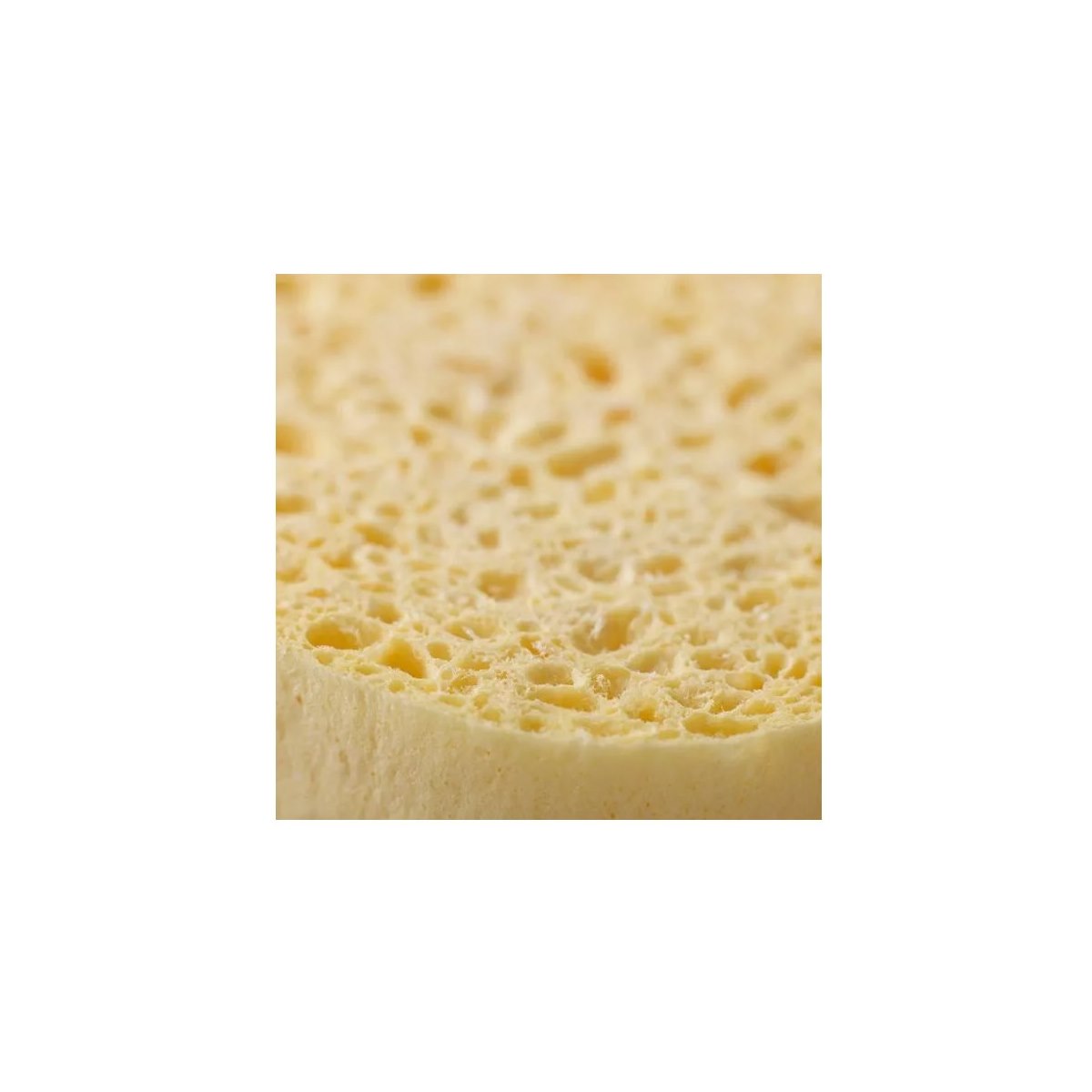 Spontex Cellulose Handy Sponge