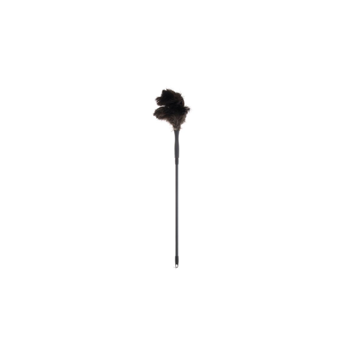 Rushmere 90-150cm Telescopic Premium Ostrich Feather Duster